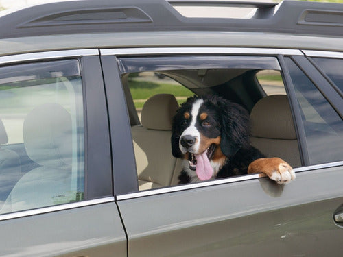 Weathertech Deflectores Ventanas Traseras Todas Las Marcas