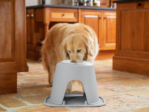 Sistema De Alimentación Alto Weathertech De 6 Para Mascotas