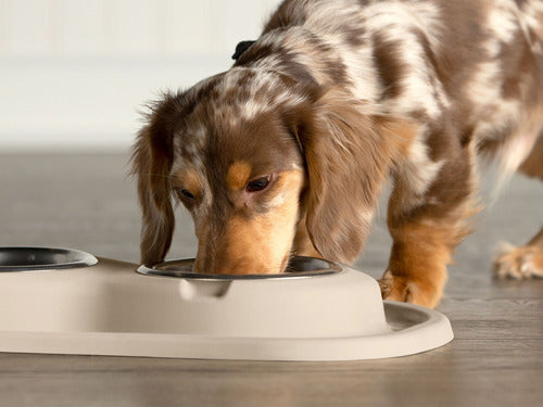 Sistema De Alimentacion Para Mascotas Weathertech 2 Tazones