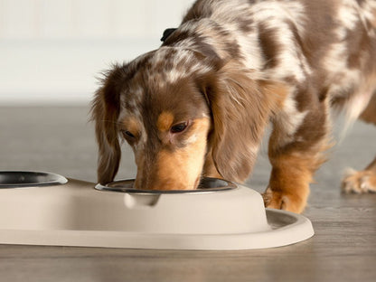 Sistema De Alimentacion Para Mascotas Weathertech 2 Tazones