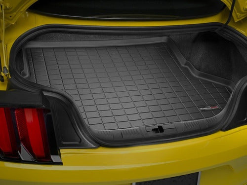 Tapetes Uso Rudo Weathertech Mustang 2015-2020 - Cajuela